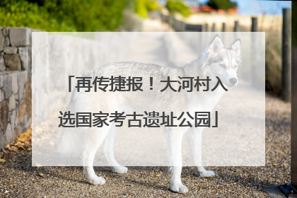 再传捷报！大河村入选国家考古遗址公园