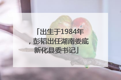 出生于1984年，彭韬出任湖南娄底新化县委书记