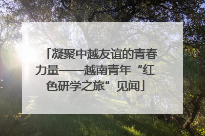 凝聚中越友谊的青春力量——越南青年“红色研学之旅”见闻