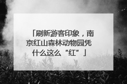 刷新游客印象，南京红山森林动物园凭什么这么“红”