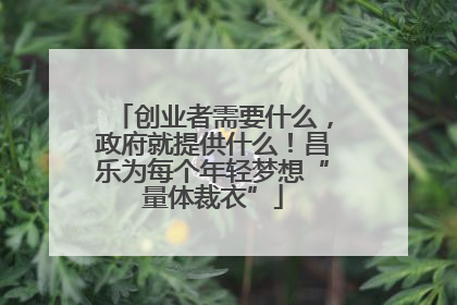 创业者需要什么，政府就提供什么！昌乐为每个年轻梦想“量体裁衣”
