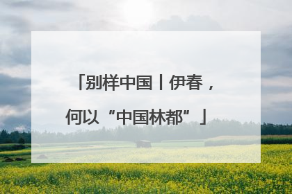 别样中国丨伊春，何以“中国林都”