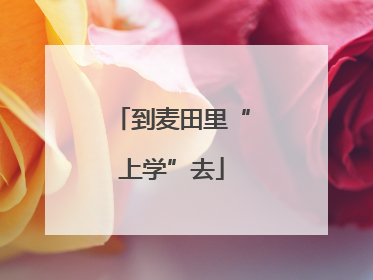 到麦田里“上学”去