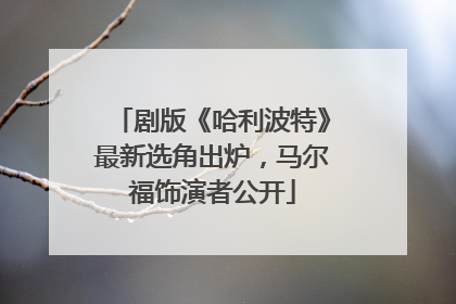 剧版《哈利波特》最新选角出炉，马尔福饰演者公开
