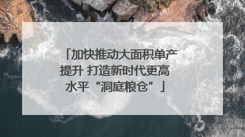加快推动大面积单产提升 打造新时代更高水平“洞庭粮仓”