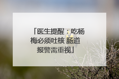 医生提醒：吃杨梅必须吐核 肠道报警需重视