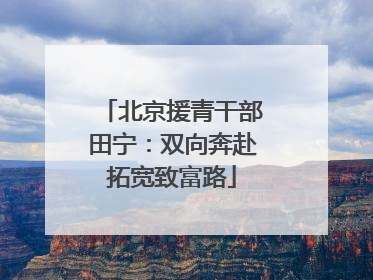 北京援青干部田宁：双向奔赴拓宽致富路