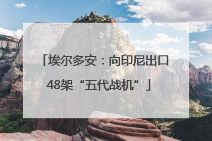 埃尔多安：向印尼出口48架“五代战机”