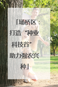 埇桥区：打造“种业科技谷” 助力强农兴种