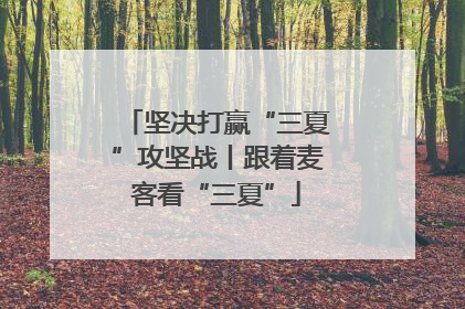 坚决打赢“三夏”攻坚战丨跟着麦客看“三夏”
