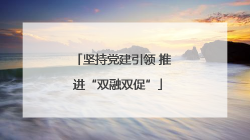 坚持党建引领 推进“双融双促”