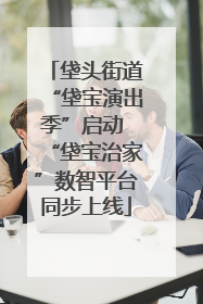垡头街道“垡宝演出季”启动 “垡宝治家”数智平台同步上线