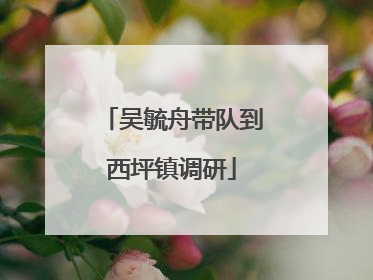 吴毓舟带队到西坪镇调研