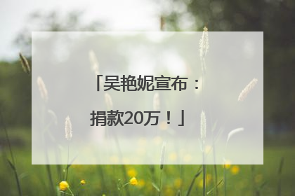 吴艳妮宣布：捐款20万！