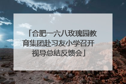 合肥一六八玫瑰园教育集团赴习友小学召开视导总结反馈会