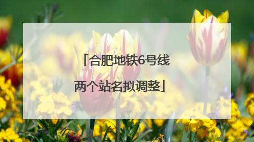 合肥地铁6号线两个站名拟调整