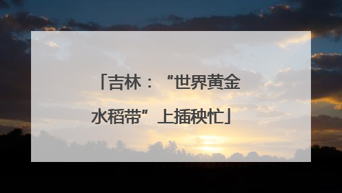 吉林：“世界黄金水稻带”上插秧忙