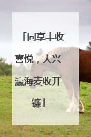 同享丰收喜悦，大兴瀛海麦收开镰