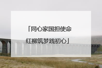 同心家国担使命 红柳筑梦践初心