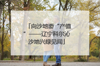 向沙地要“产值”——辽宁科尔沁沙地兴绿见闻