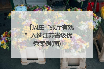 周庄“张厅有戏”入选江苏省级优秀案例(图)