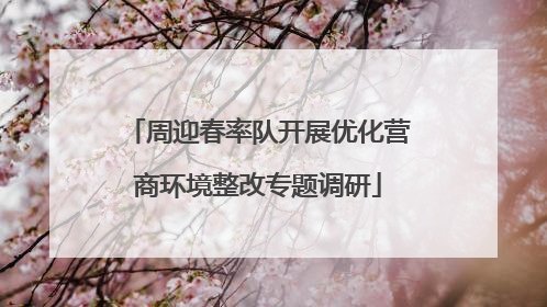 周迎春率队开展优化营商环境整改专题调研
