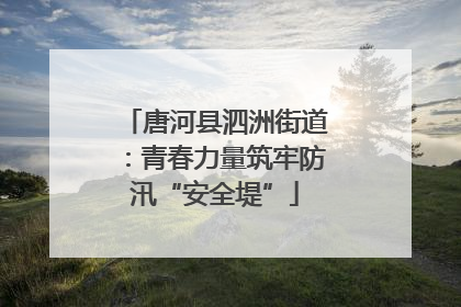 唐河县泗洲街道：青春力量筑牢防汛“安全堤”