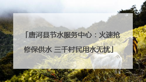 唐河县节水服务中心：火速抢修保供水 三千村民用水无忧