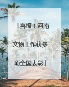 喜报！河南文物工作获多项全国表彰
