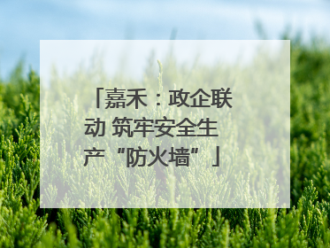 嘉禾：政企联动 筑牢安全生产“防火墙”