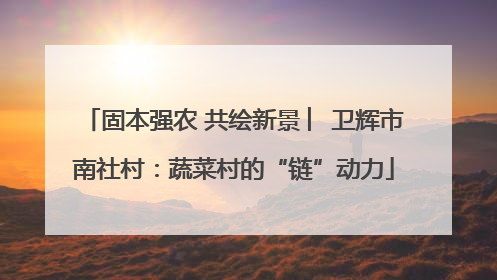 固本强农 共绘新景 ︳卫辉市南社村：蔬菜村的“链”动力