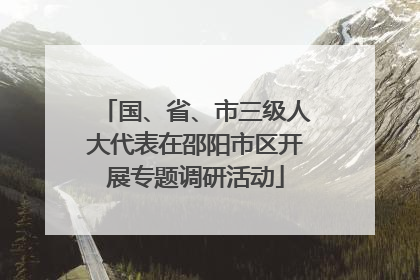 国、省、市三级人大代表在邵阳市区开展专题调研活动