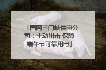 国网三门峡供电公司：主动出击 保障端午节可靠用电