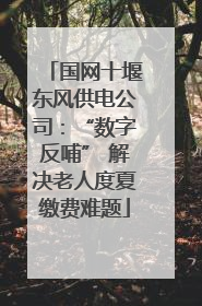 国网十堰东风供电公司：“数字反哺” 解决老人度夏缴费难题