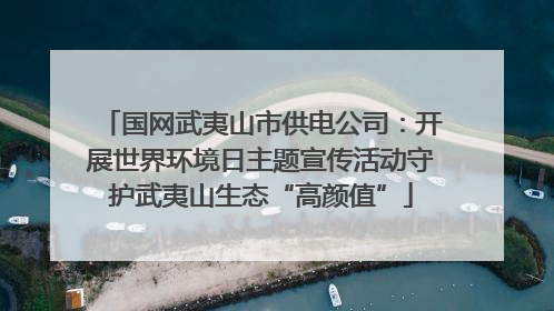 国网武夷山市供电公司：开展世界环境日主题宣传活动守护武夷山生态“高颜值”