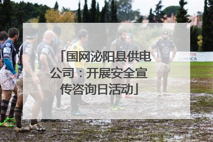国网泌阳县供电公司：开展安全宣传咨询日活动