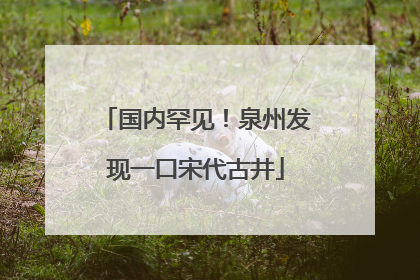 国内罕见！泉州发现一口宋代古井