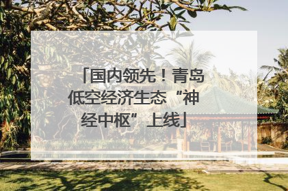 国内领先！青岛低空经济生态“神经中枢”上线