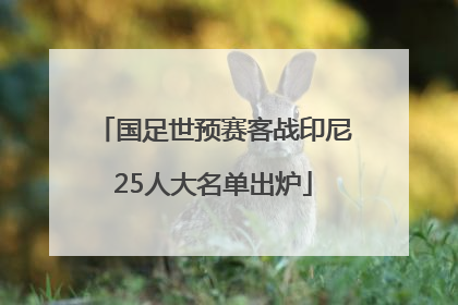 国足世预赛客战印尼25人大名单出炉
