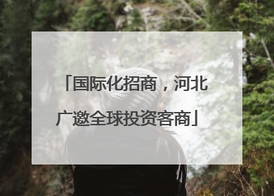 国际化招商，河北广邀全球投资客商