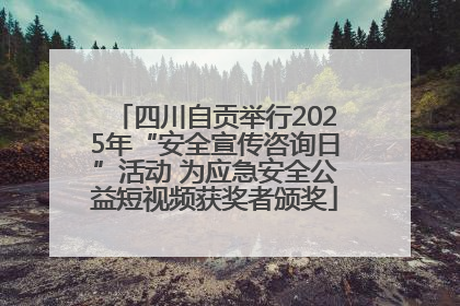 四川自贡举行2025年“安全宣传咨询日”活动 为应急安全公益短视频获奖者颁奖