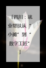 四川：就业帮扶从“小摊”到“数字工匠”