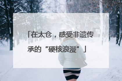 在太仓，感受非遗传承的“硬核浪漫”
