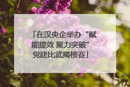 在汉央企举办“赋能提效 聚力突破”党建比武揭榜赛