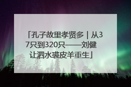 孔子故里孝贤多｜从37只到320只——刘健让泗水裘皮羊重生