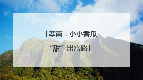 孝南：小小香瓜 “甜”出富路