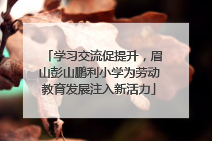 学习交流促提升，眉山彭山鹏利小学为劳动教育发展注入新活力