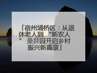 宿州埇桥区：从退休老人到 “新农人” 桑葚园开启乡村振兴新篇章