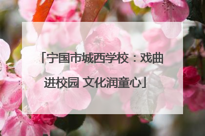 宁国市城西学校：戏曲进校园 文化润童心