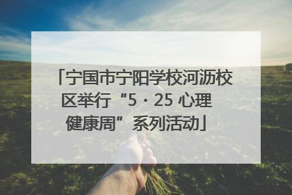 宁国市宁阳学校河沥校区举行“5・25 心理健康周”系列活动